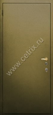 Металлическая дверь в квартиру с шумоизоляцией DPM552